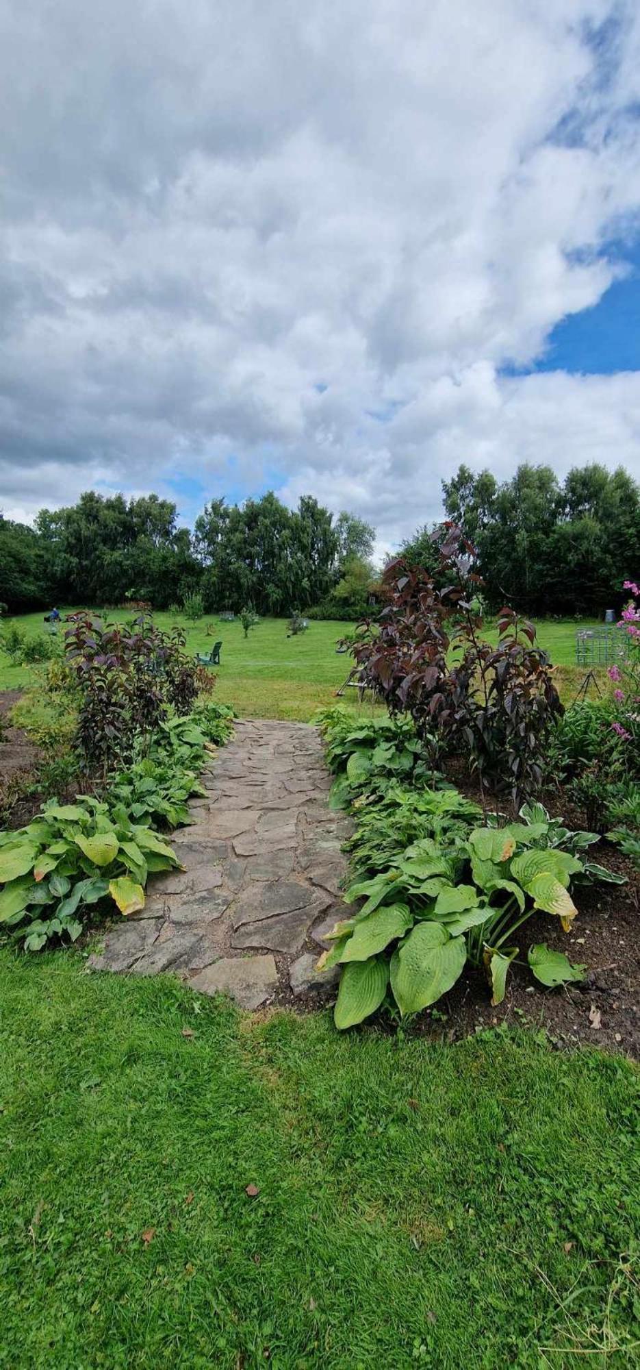 Bed and Breakfast Hos Molsgaarden Knebel Esterno foto