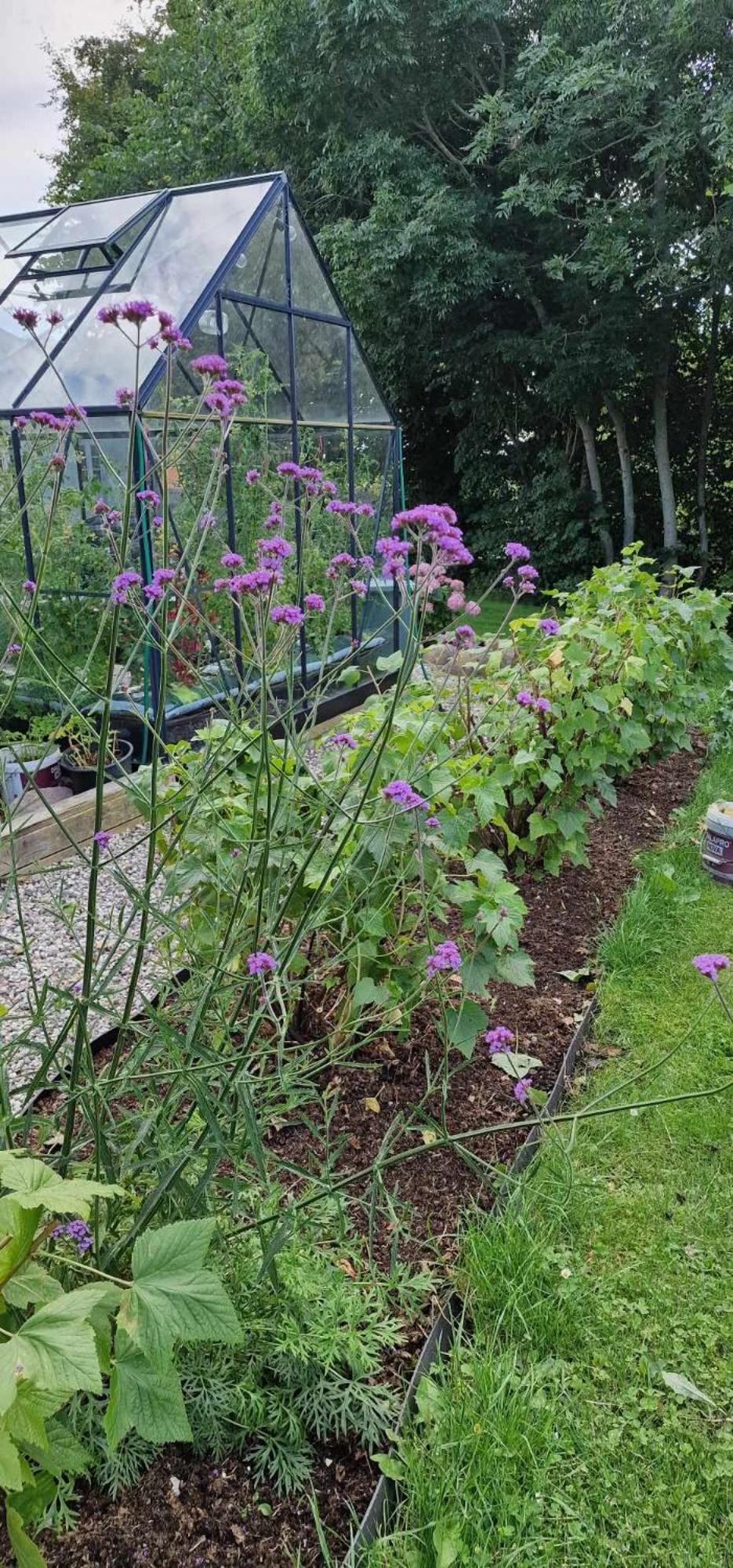 Bed and Breakfast Hos Molsgaarden Knebel Esterno foto